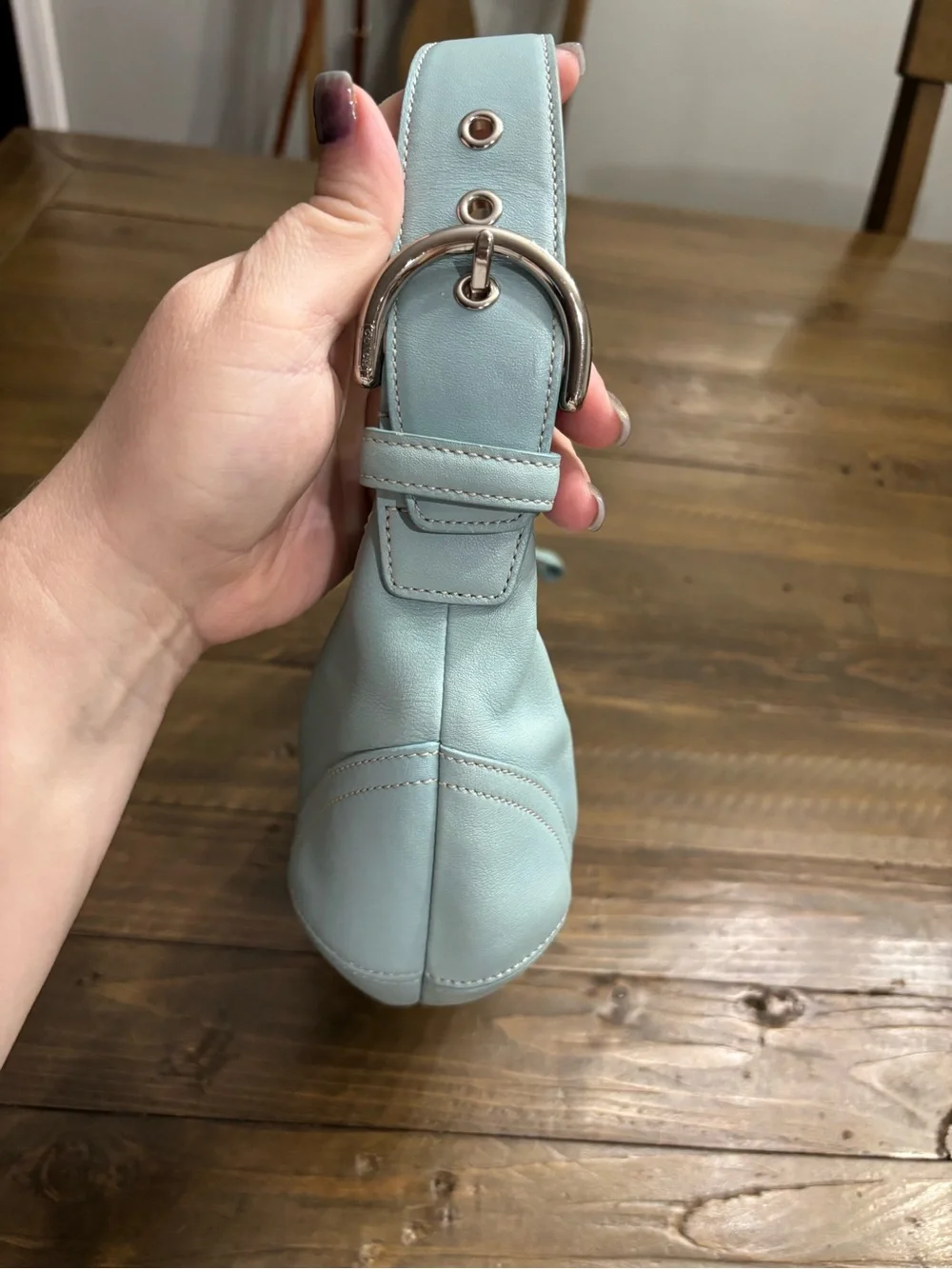 Coach hobo bag