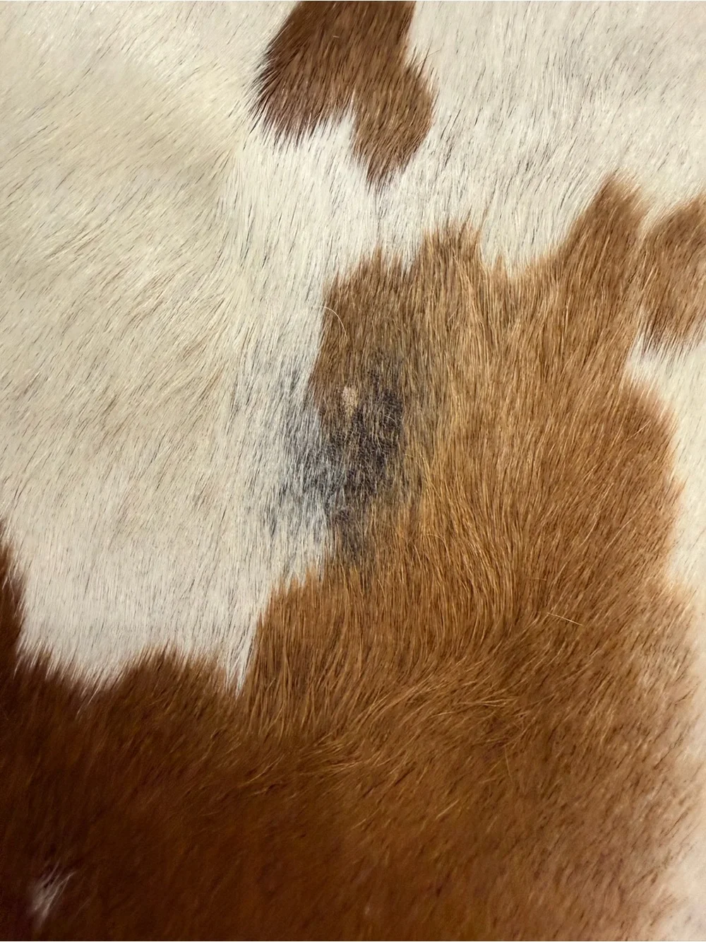 N/A stylish cowhide