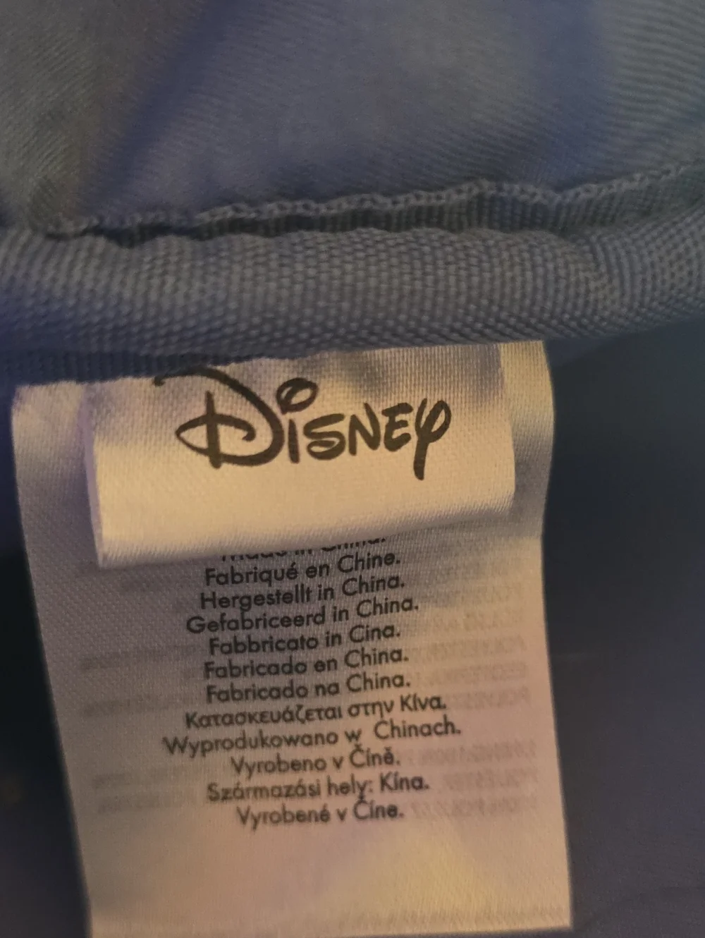 Disney this cozy