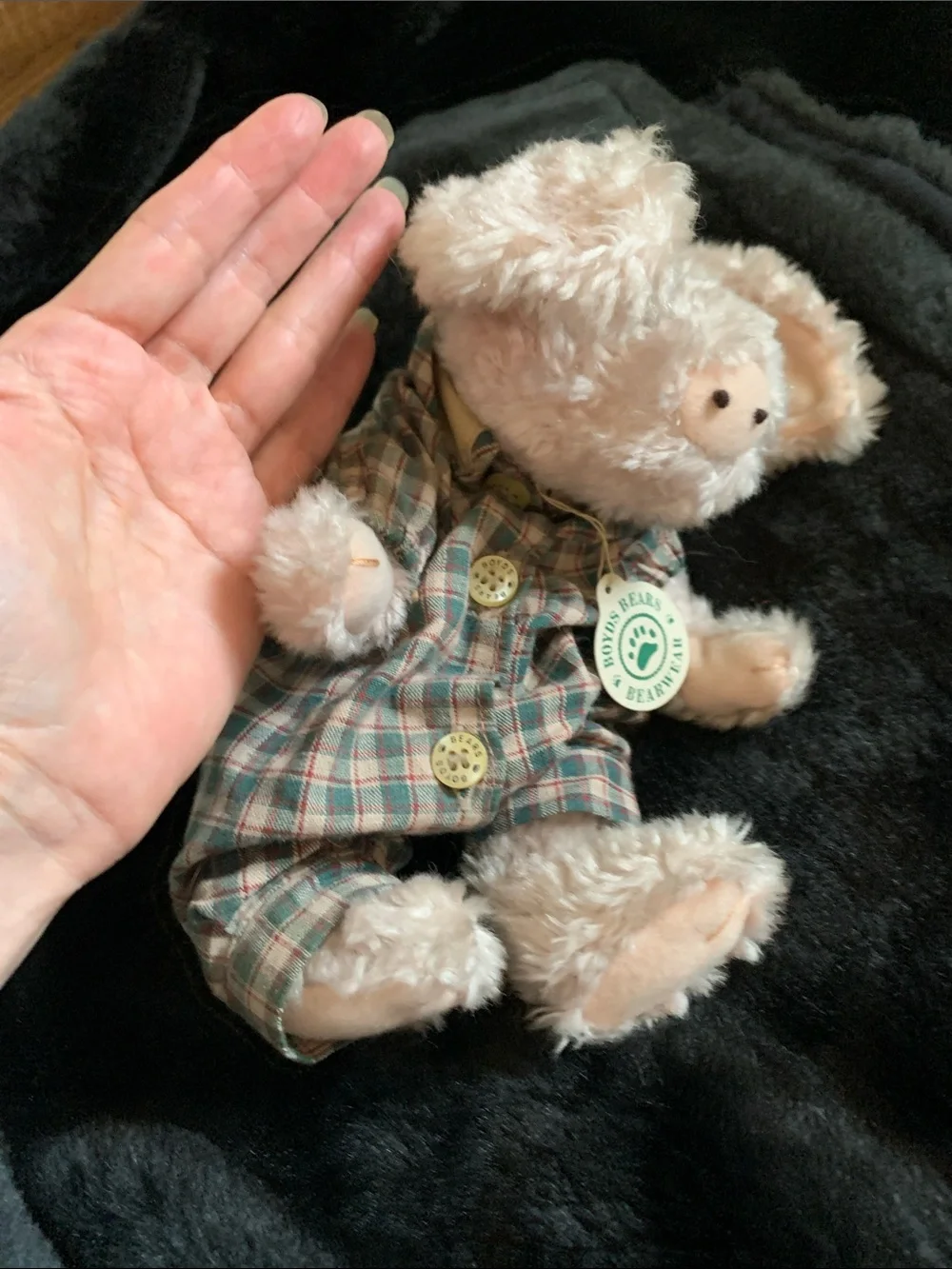 Boyds Bears had been