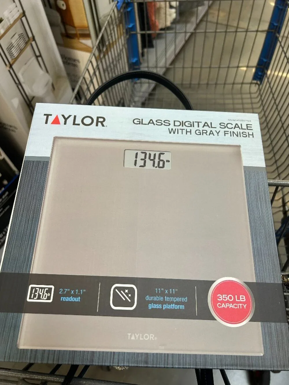 New Taylor Digital Scale