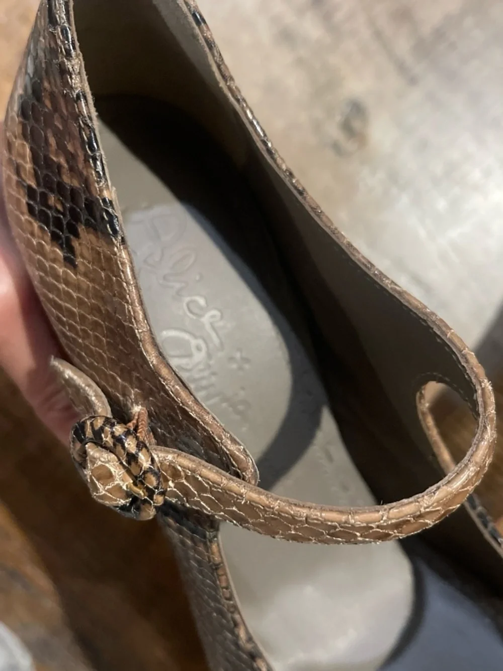 Alice + Olivia bold platform
