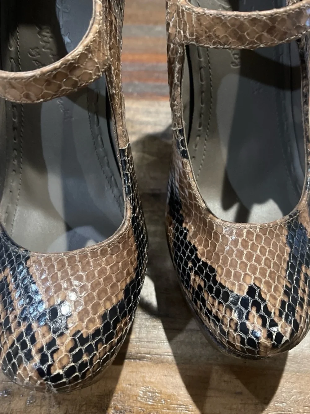 Alice + Olivia bold platform
