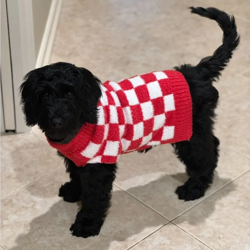 Friends Forever dog christmas