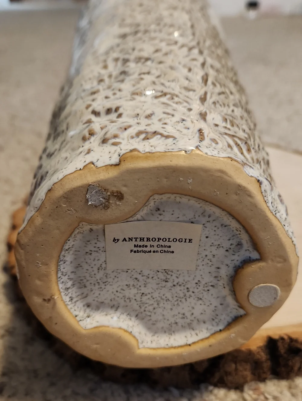 Anthropologie textured fern
