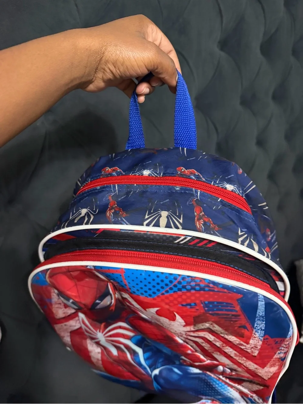 Marvel bold spider