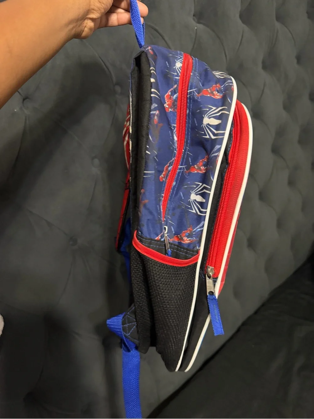 Marvel bold spider