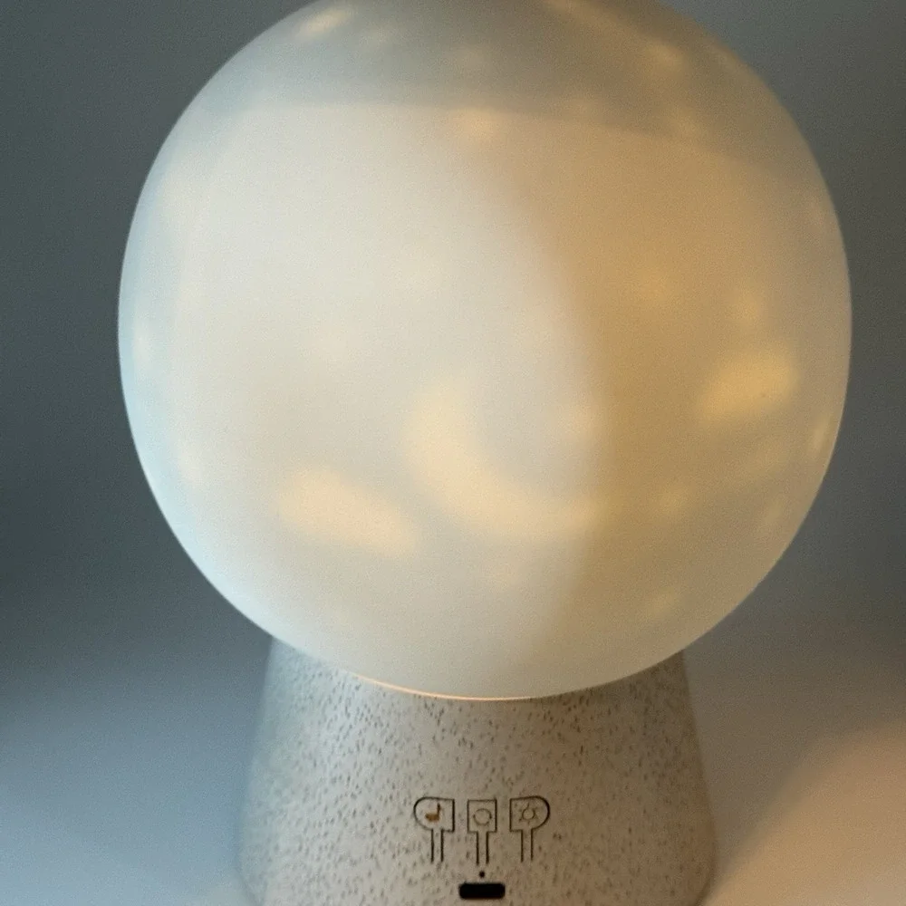 Pottery Barn powers 8107793 other