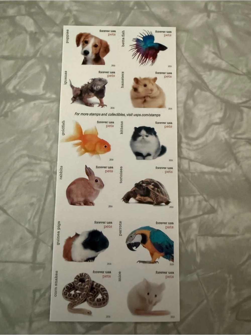 N/A pets forever