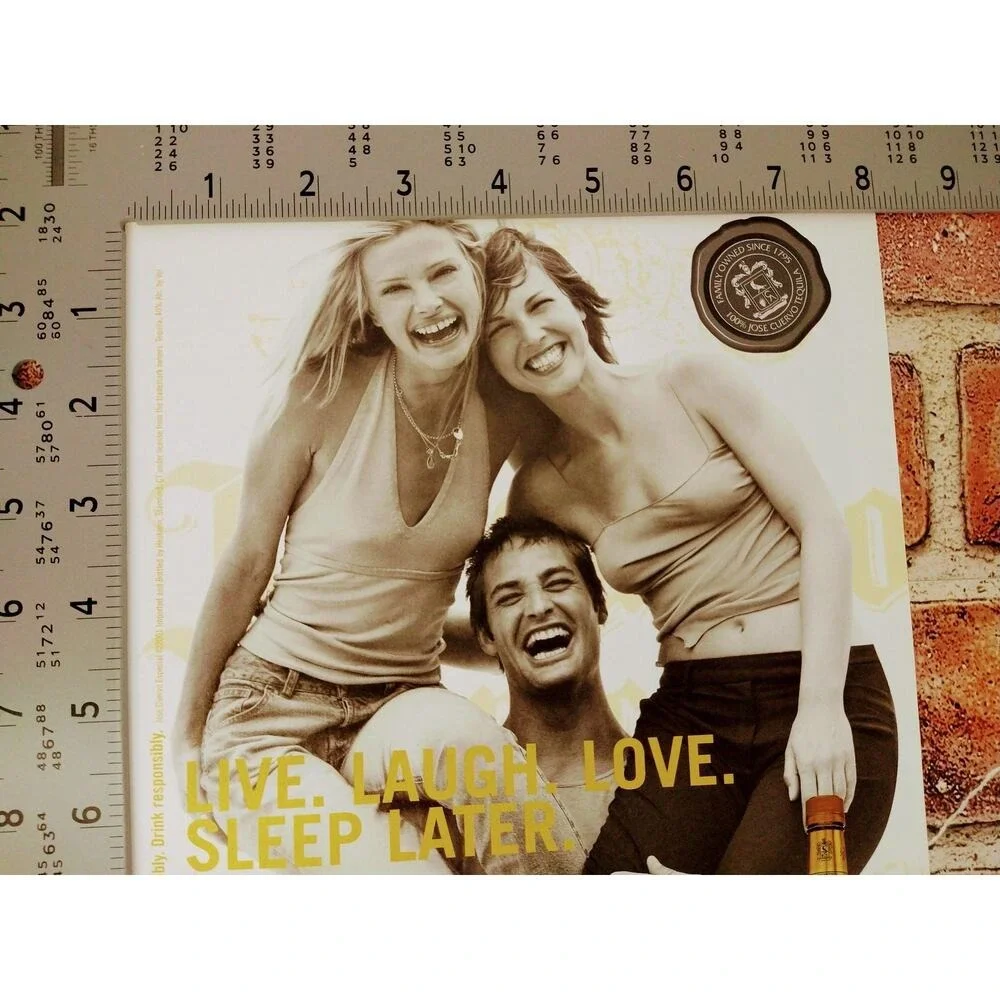 Vintage Retro Print Ad 2001 jose