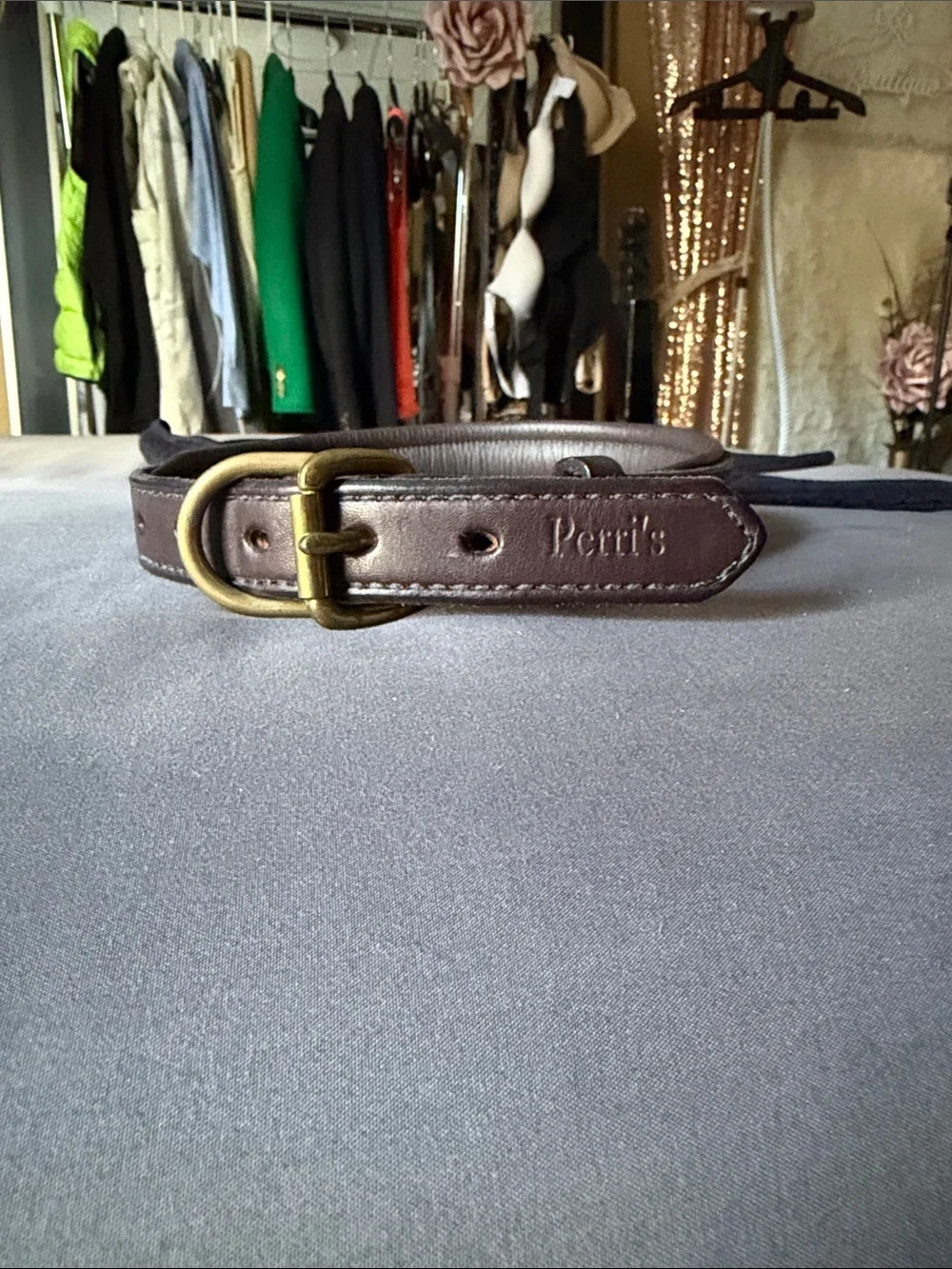 Brown Leather Dog Collar with Brass Buckle