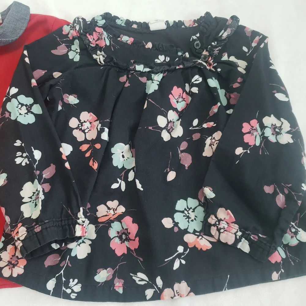 Baby Gap Long Sleeve Floral Blouse