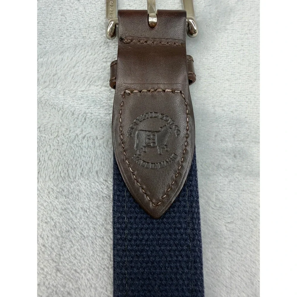 Belted Cow Co belted cow