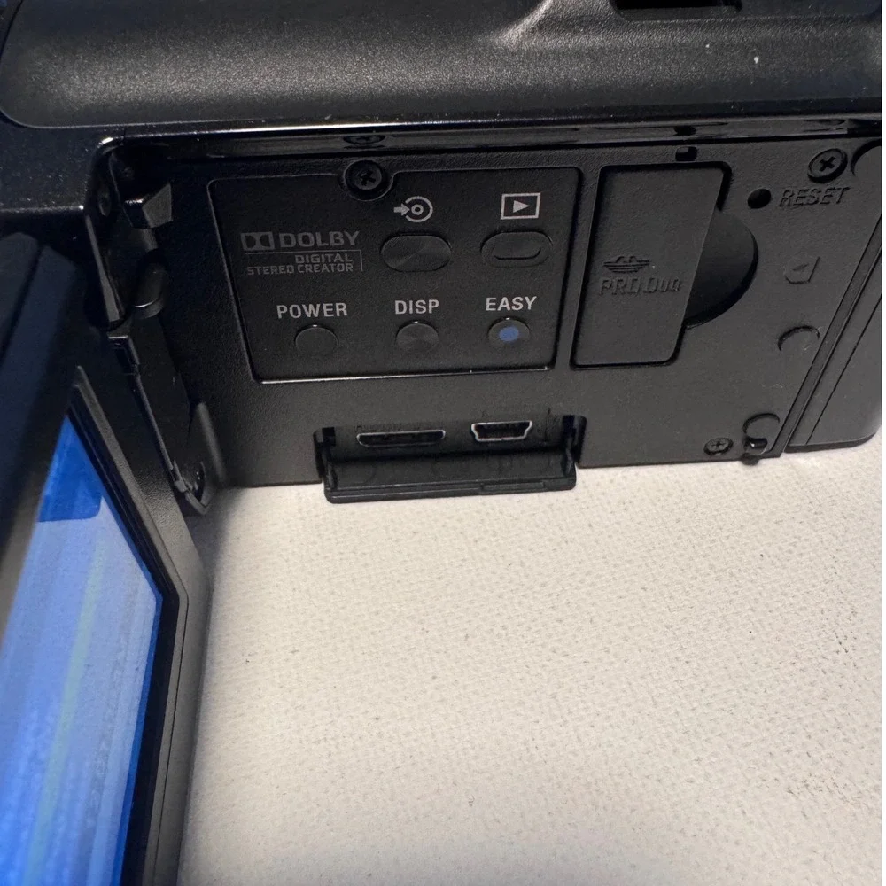 Sony great hardly