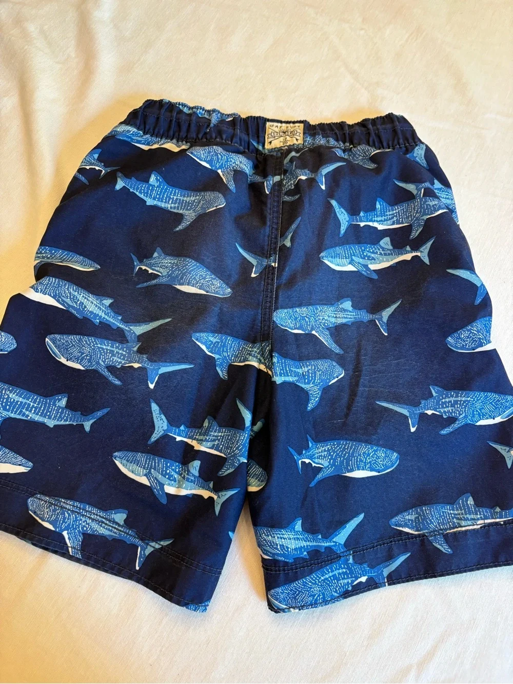GAP kids swim