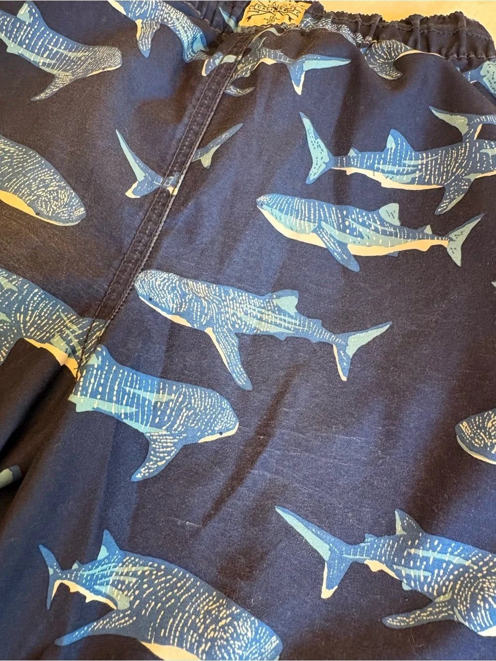 GAP kids swim