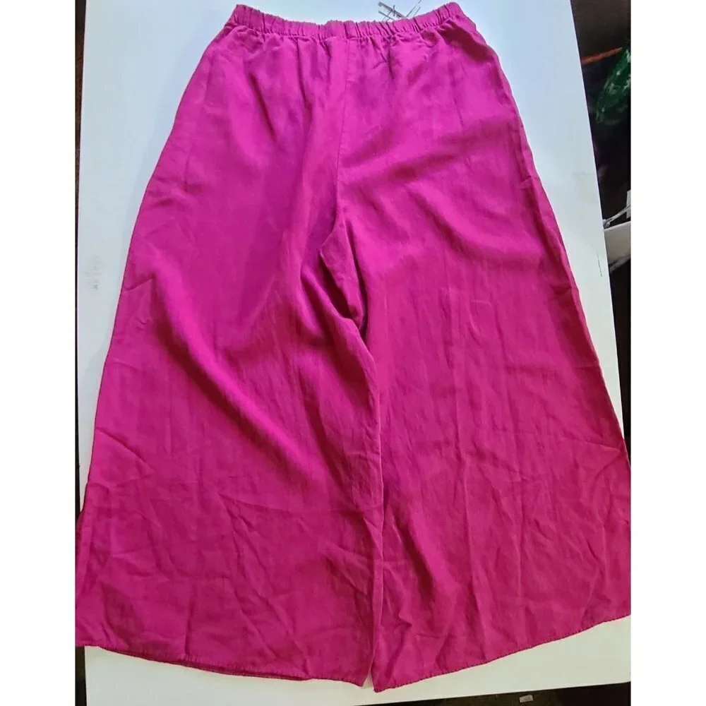 Zara pants made