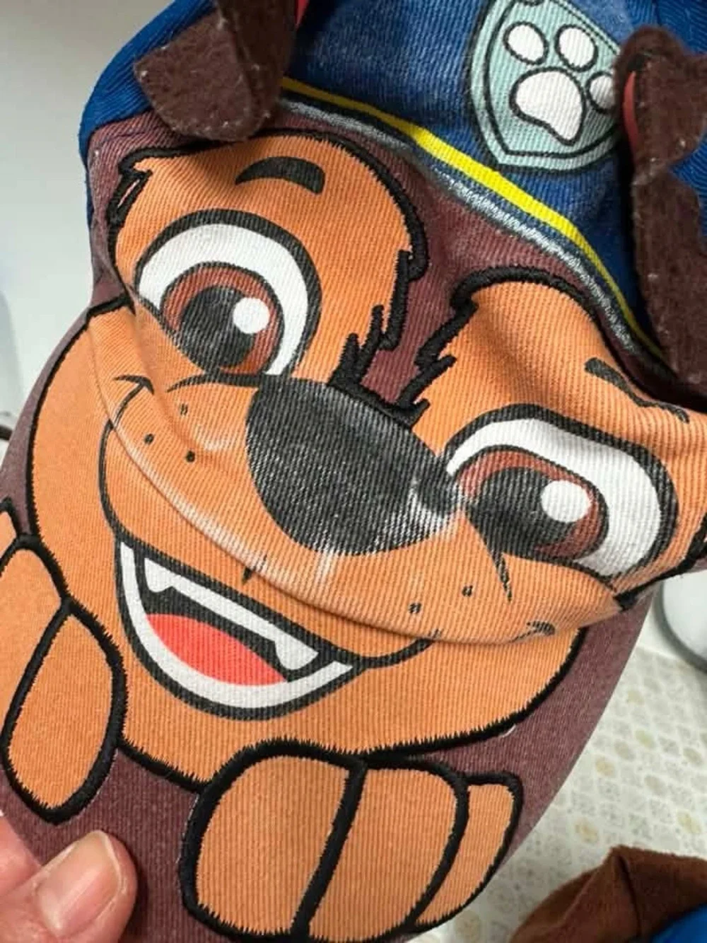 Disney official paw