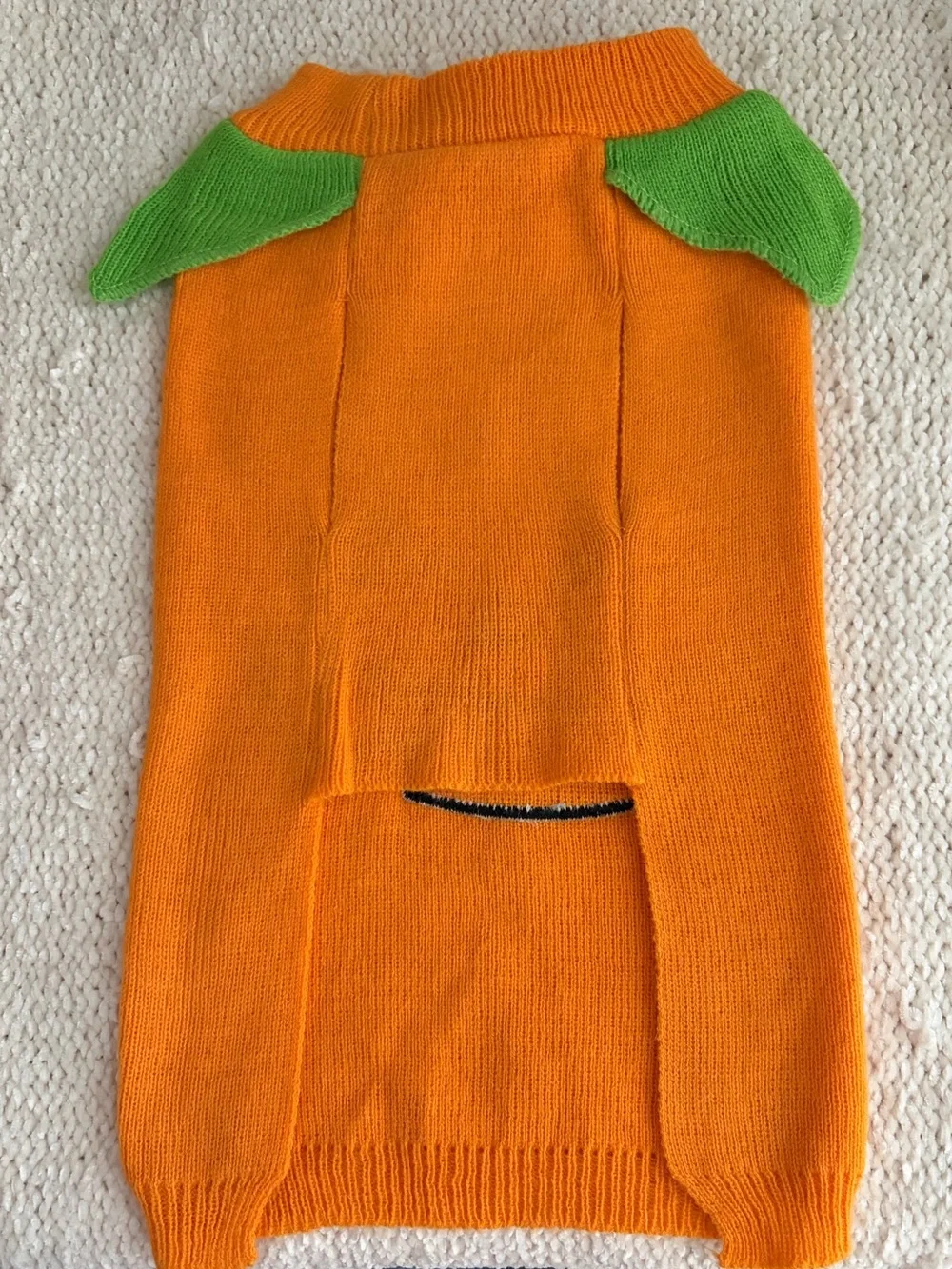 Pet Halloween creations looks never