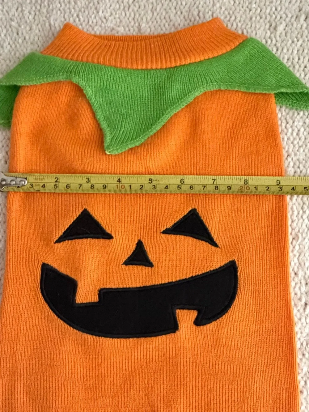 Pet Halloween creations looks never