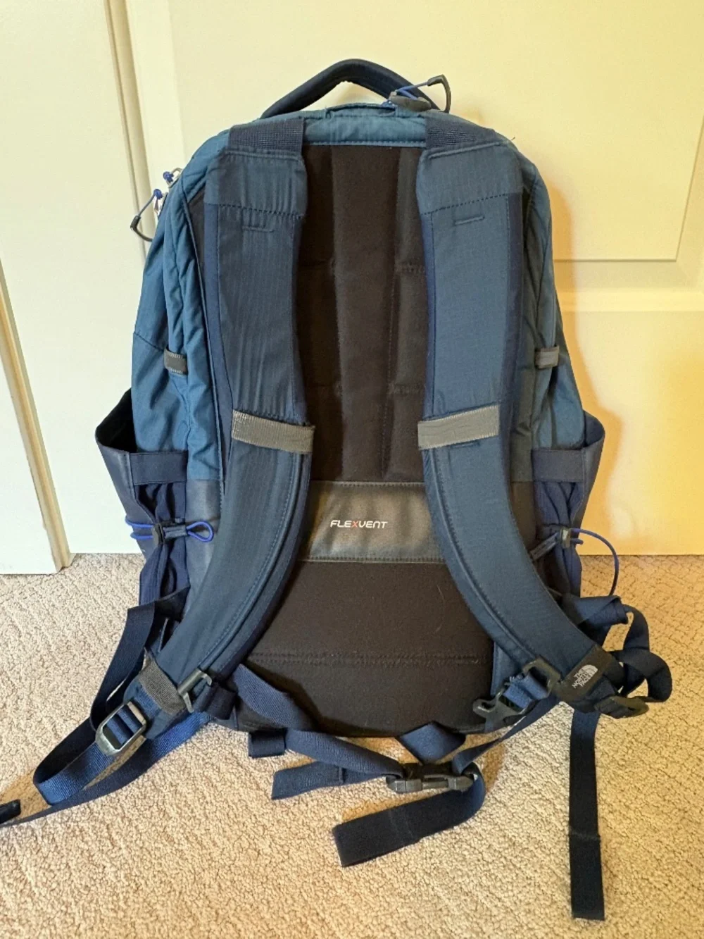 The North Face brand north