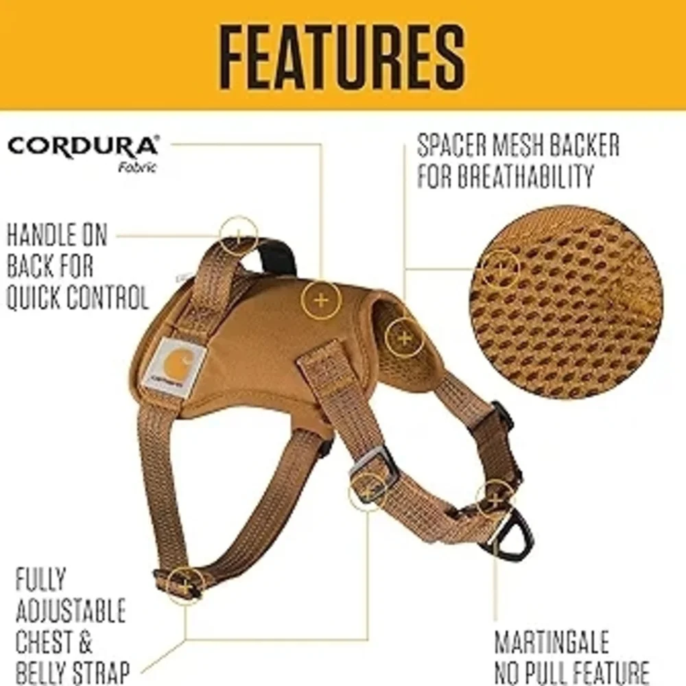 Carhartt dog relishing