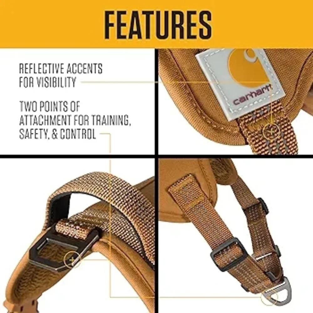 Carhartt took my questions