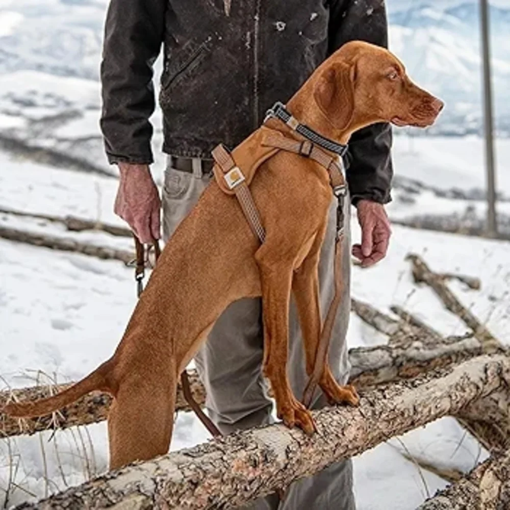 Carhartt wouldn’t dog off