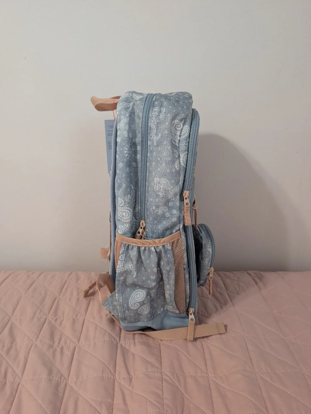 Cat & Jack nwt cat