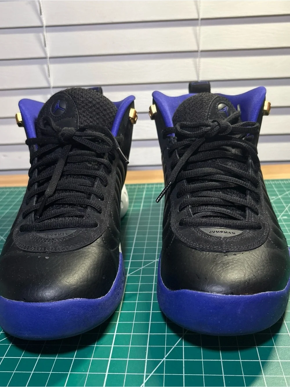 Jordan jumpman pro