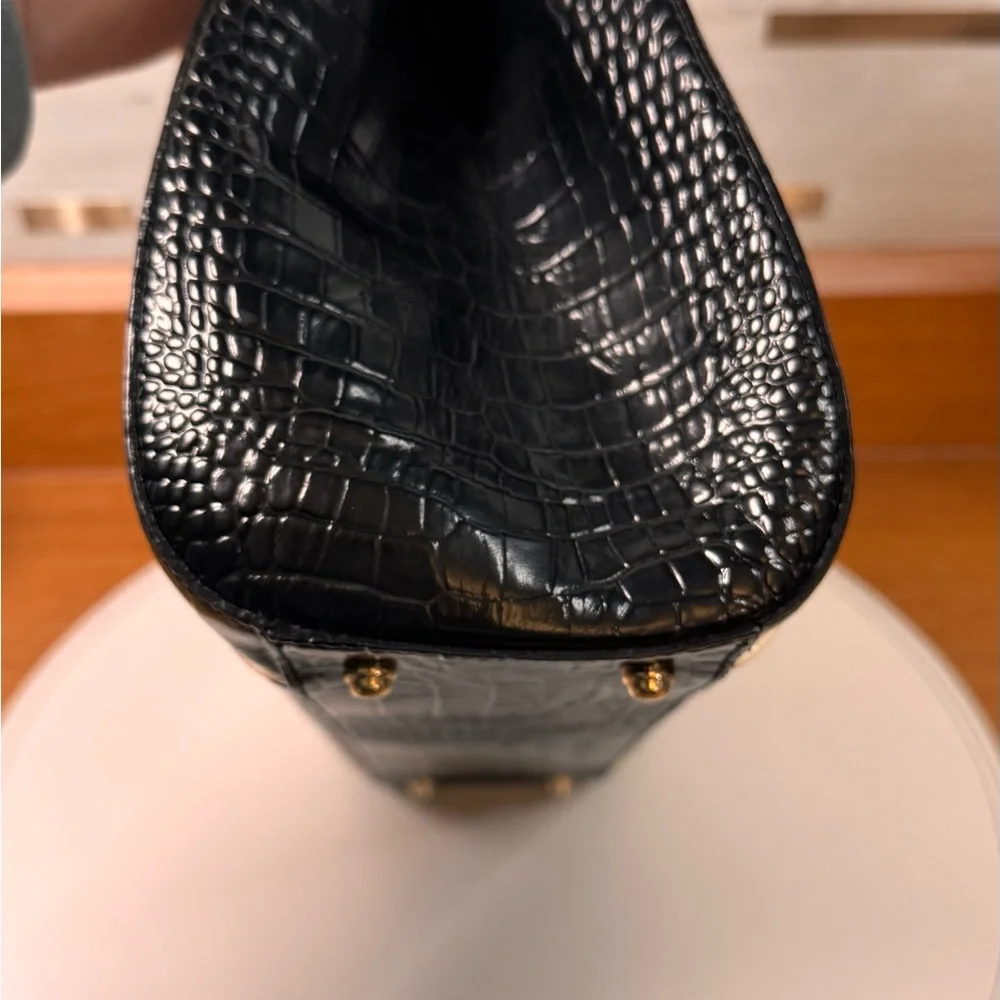 Brahmin this alice