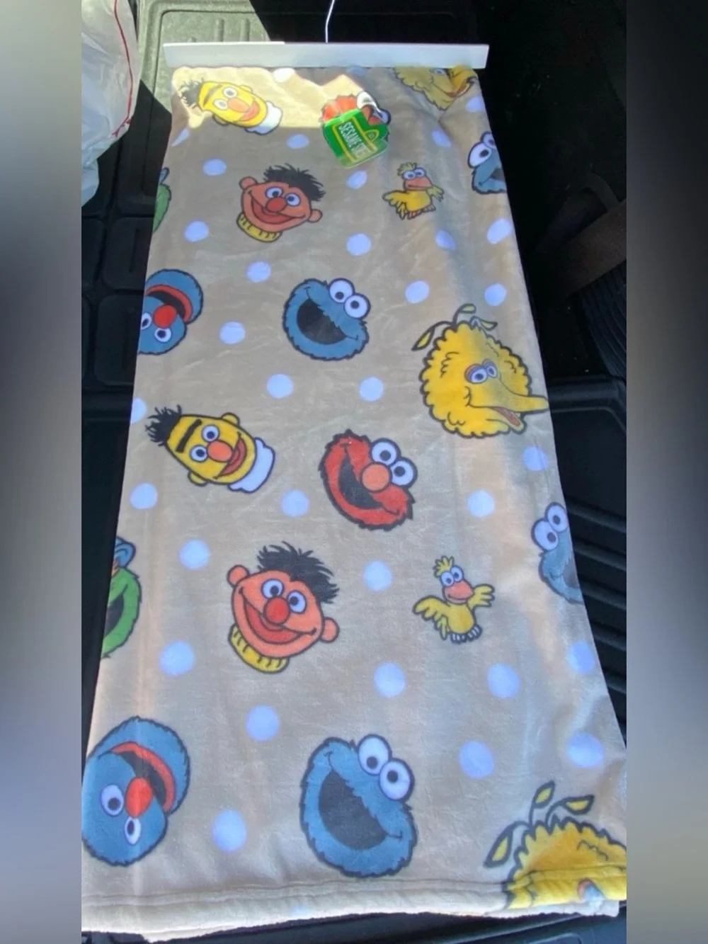 Sesame Street oversize plush throw - incredibly soft!  Brand new 60”