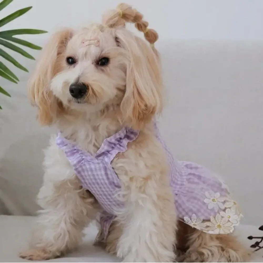 N/A lavender dog