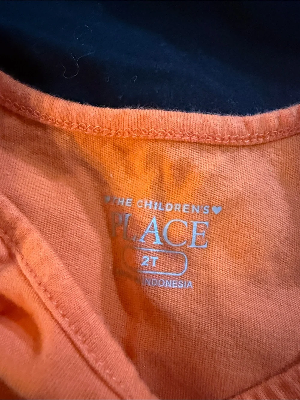 The Childrens Place two piece