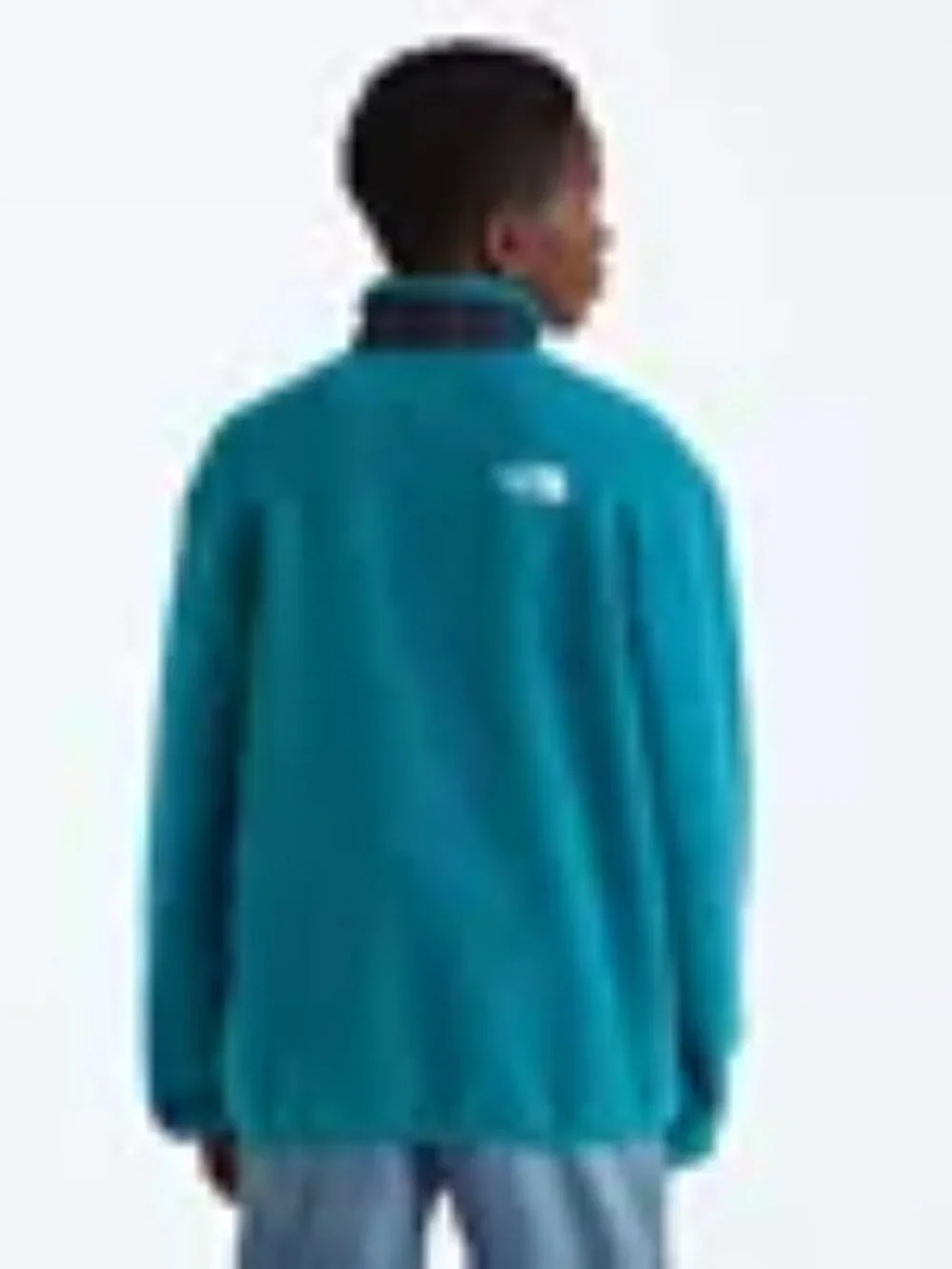 The North Face this jacket