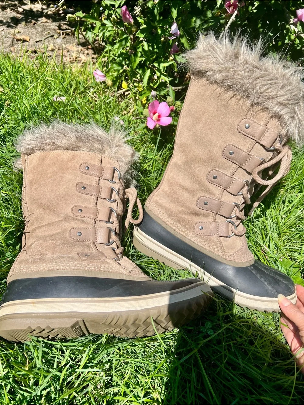 Sorel elegant joan