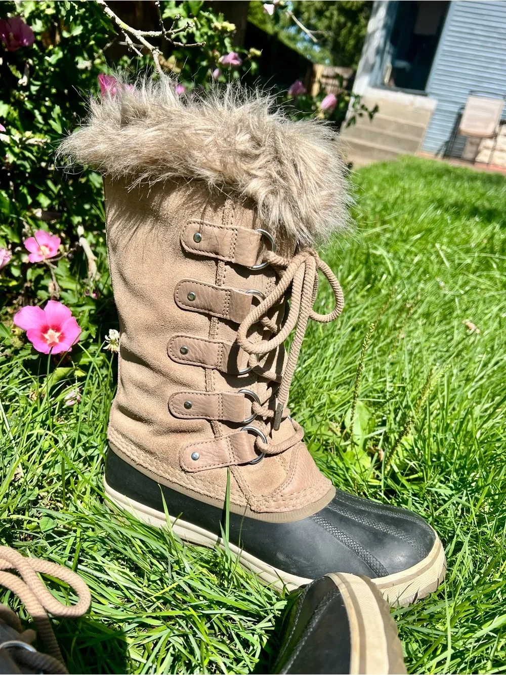Sorel elegant joan
