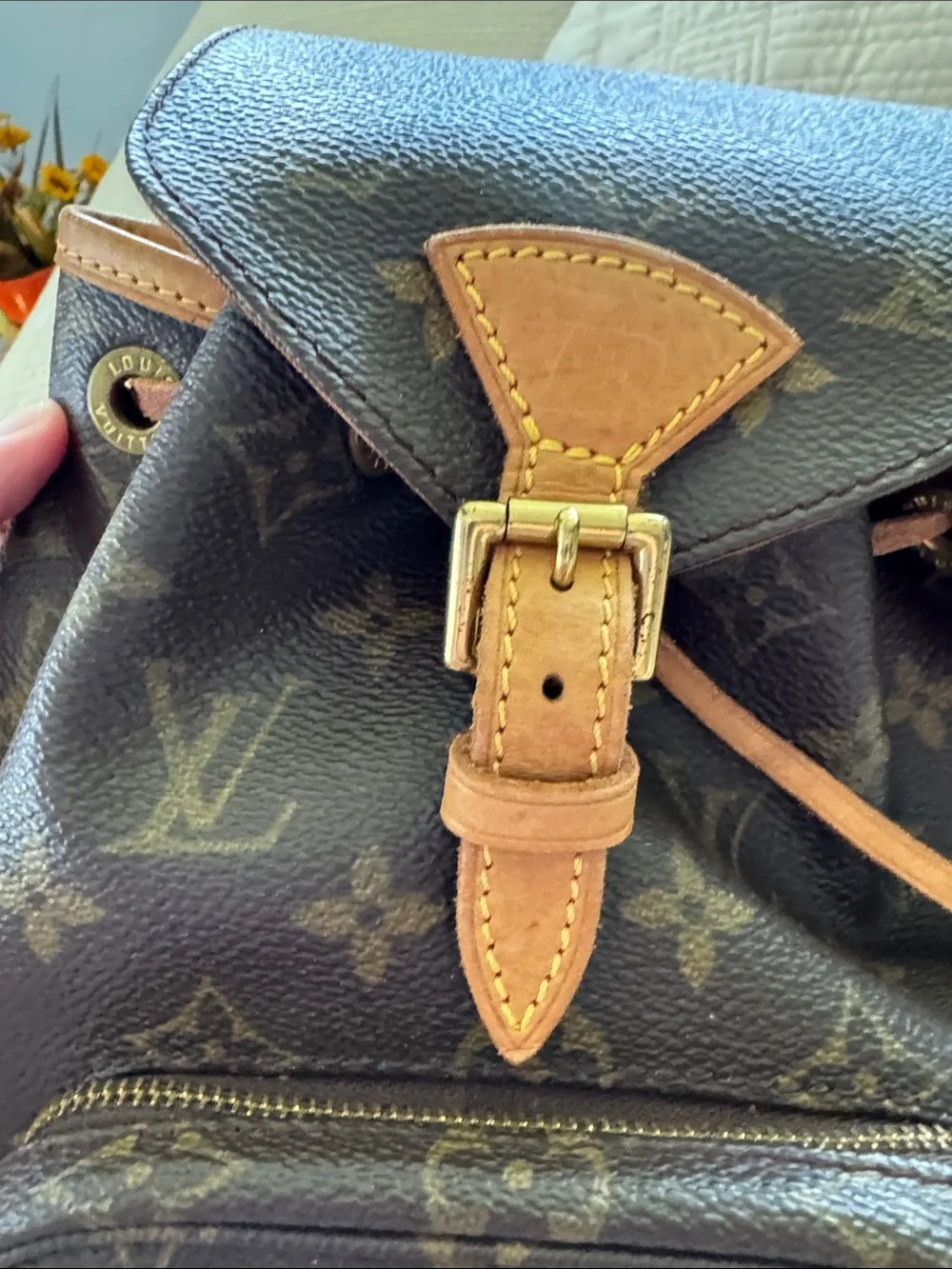 Louis Vuitton classic louis