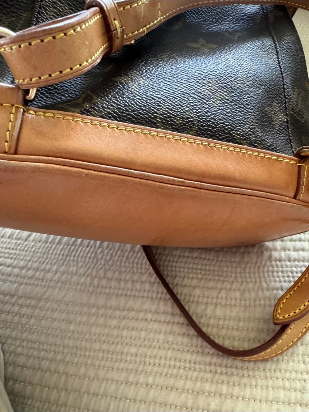 Louis Vuitton classic louis