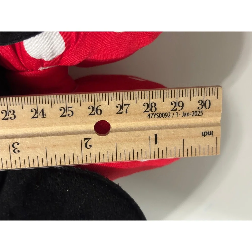 Disney measurements height