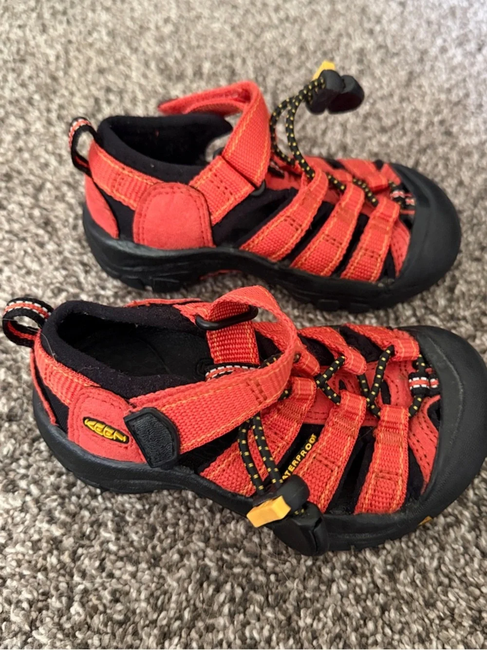 Keen amazing bright