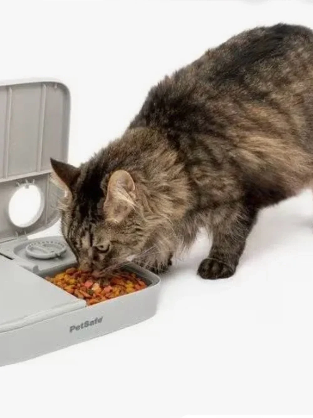 PetSafe automatic pet