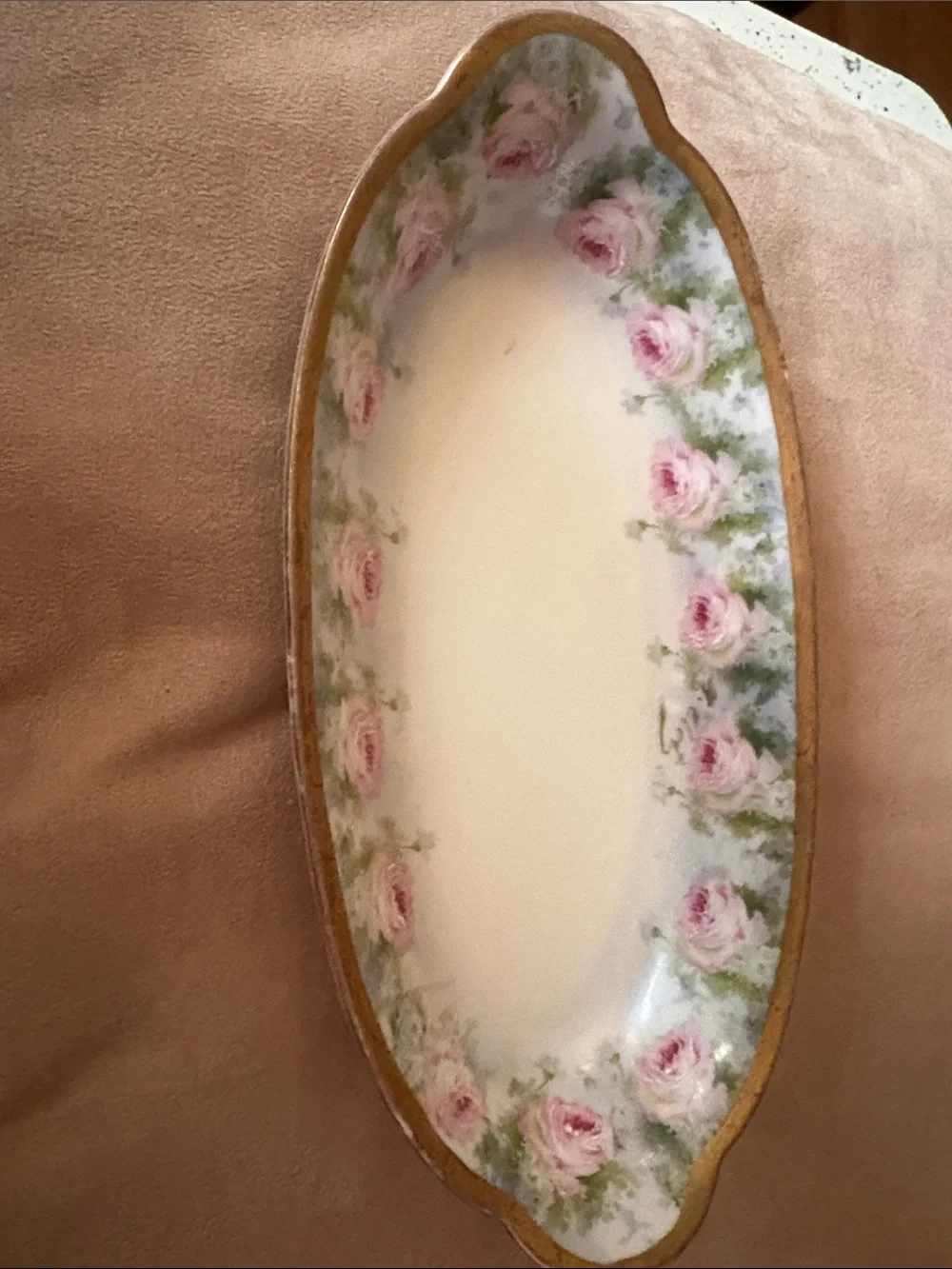 Vintage Porcelain Serving Platter with Pink Rose Border