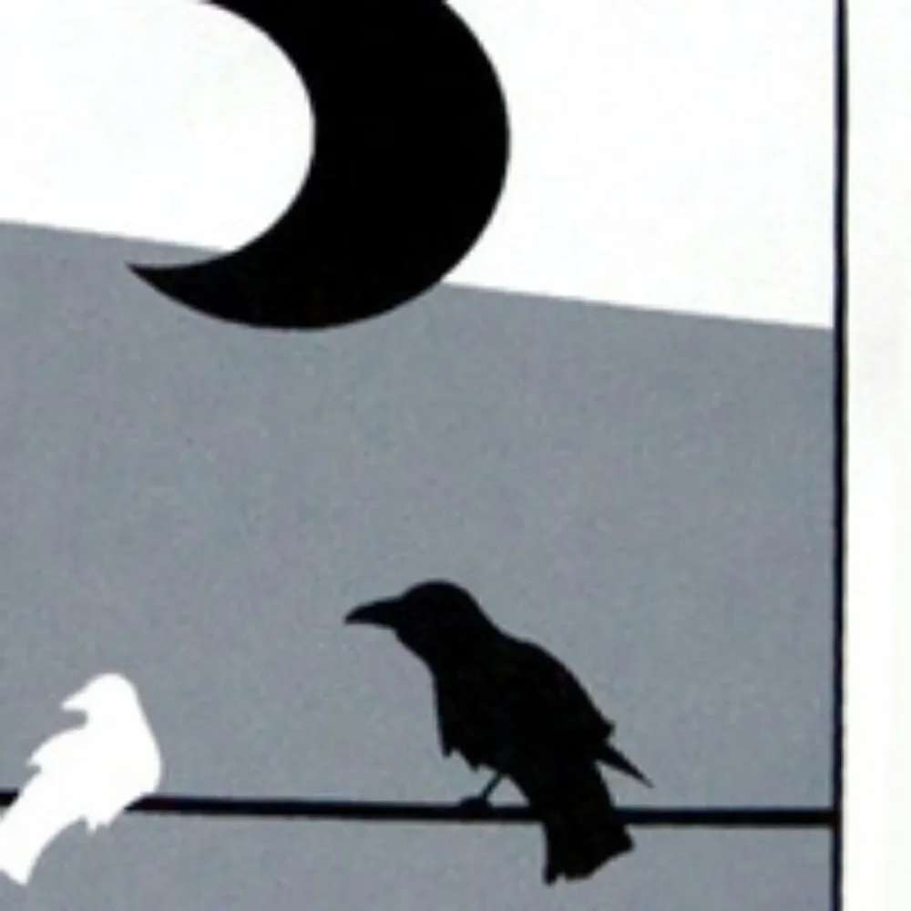 k4tg4r group birds