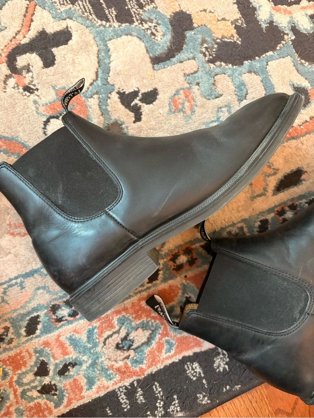 Mongrel sleek black