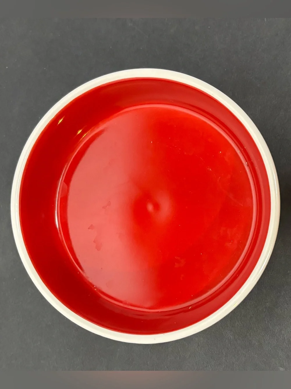 Rae Dunn festive ceramic
