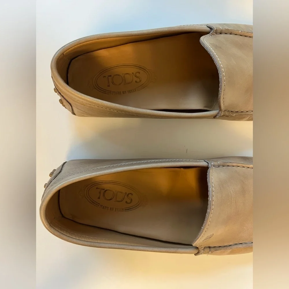 Tods gorgeous men’s