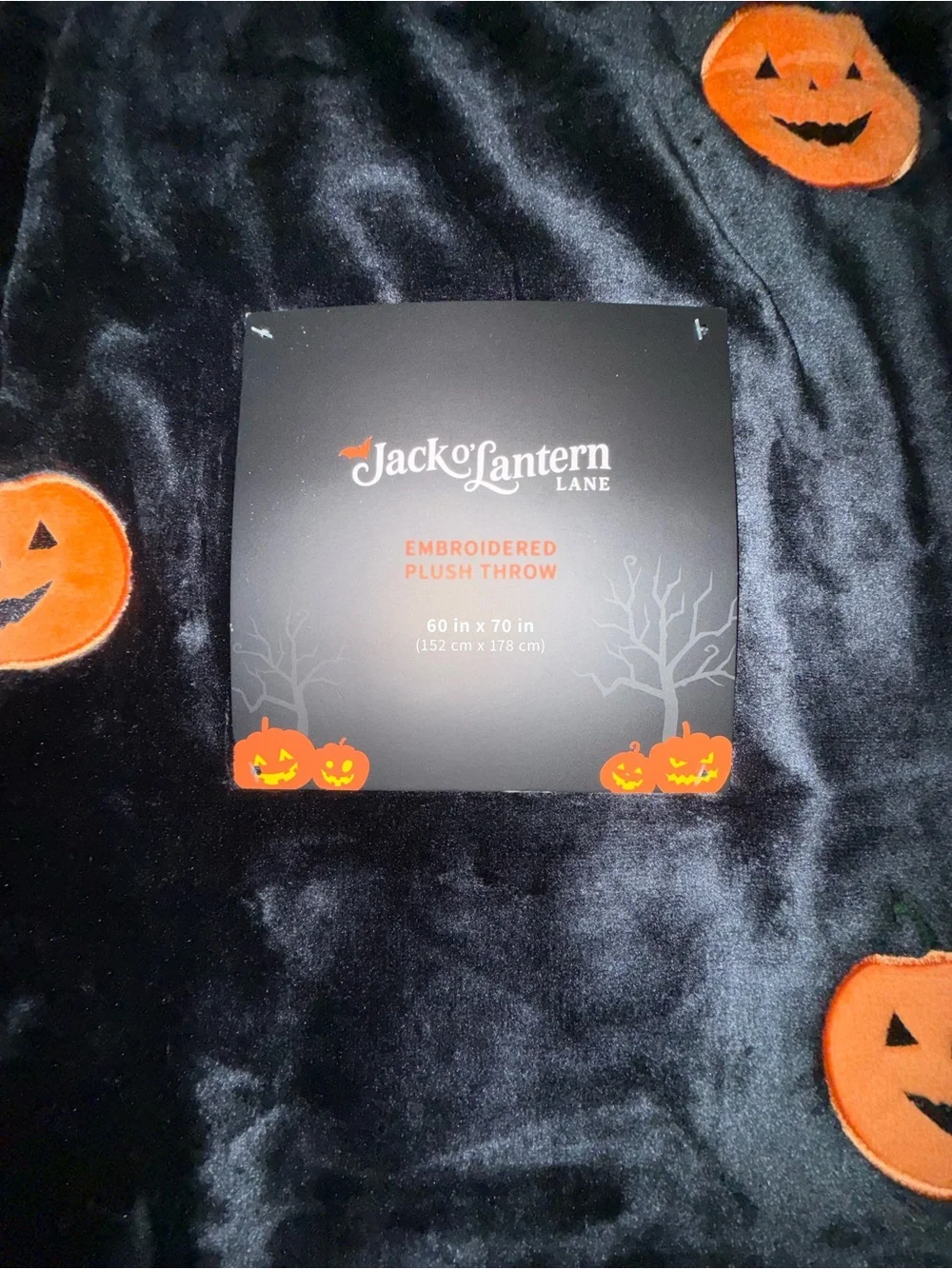 JACK O’ LANTERN LANE new jack