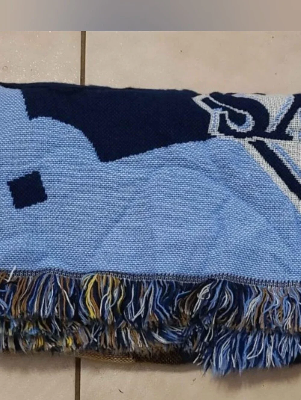 Tampa Bay Rays official themed