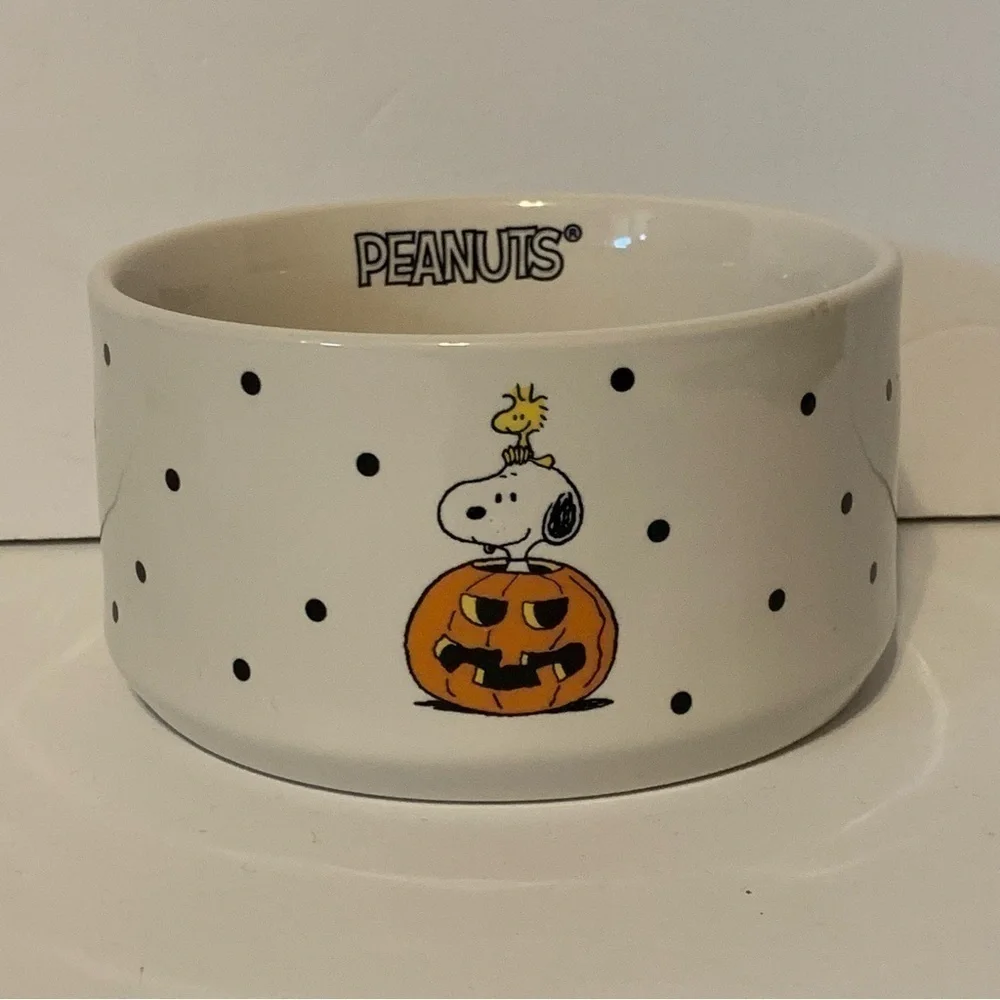 NWT. RAE DUNN X PEANUTS Snoopy Spooktacular Candy Bowl/Pet